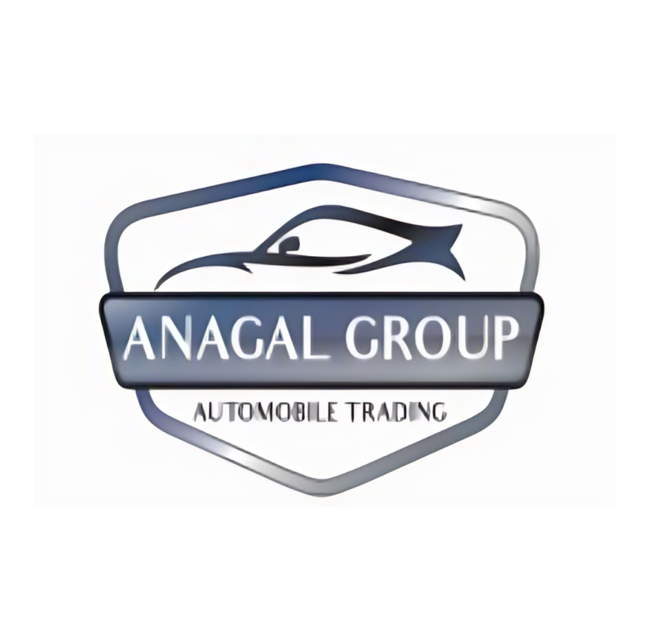 anagal group 